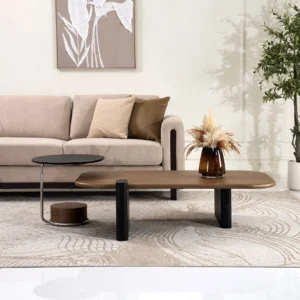 ModernaLuxe-Coffee Table Set Of 2