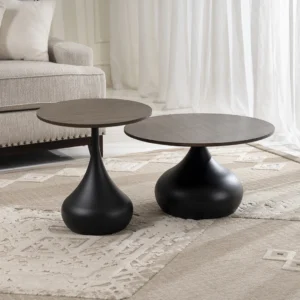 Nero-2-piece Coffee Table Set