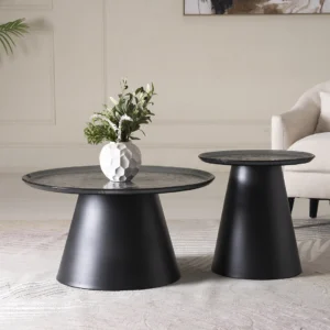 Onyx -Coffee Table Set of 2